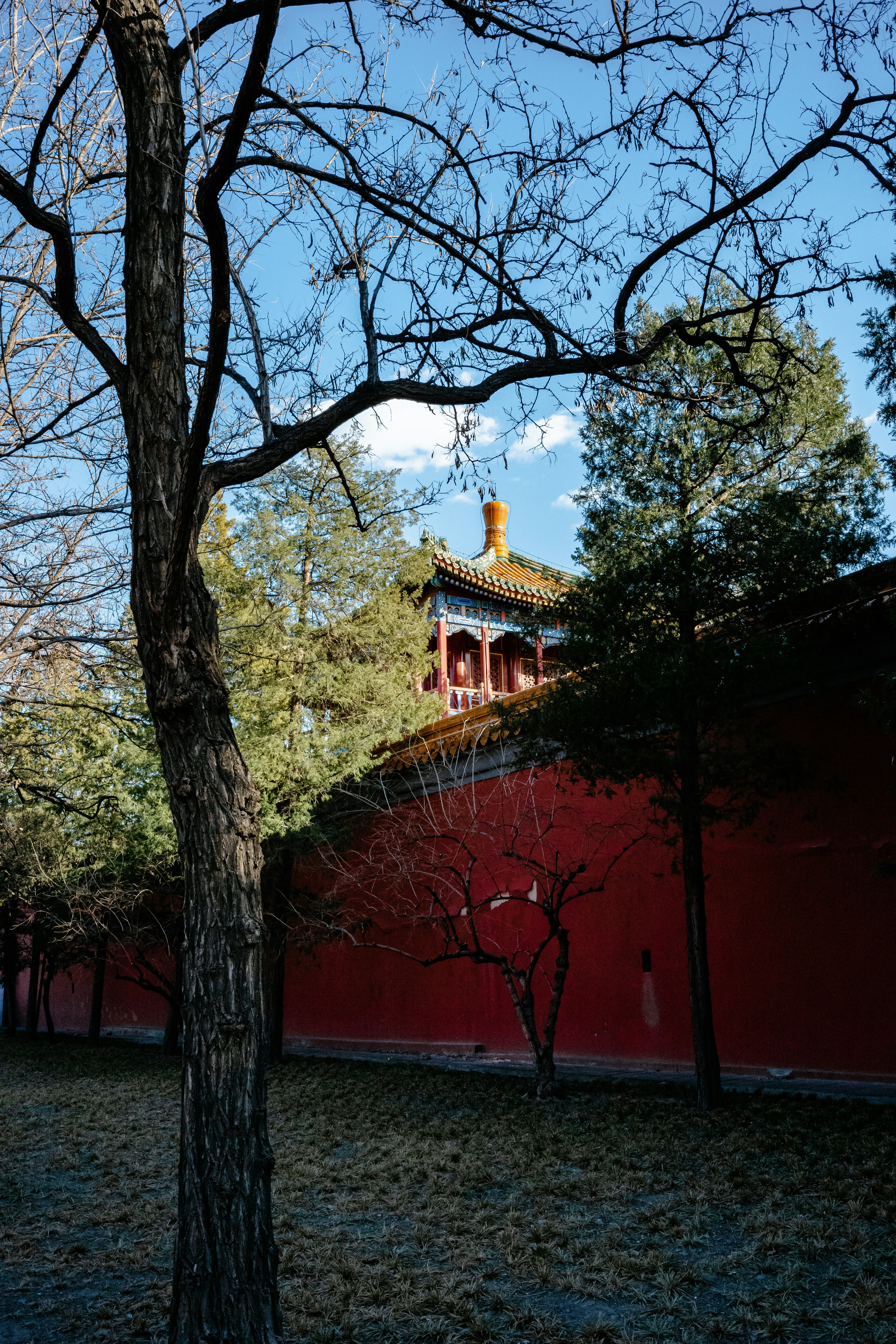 Photo by tommaomaoer