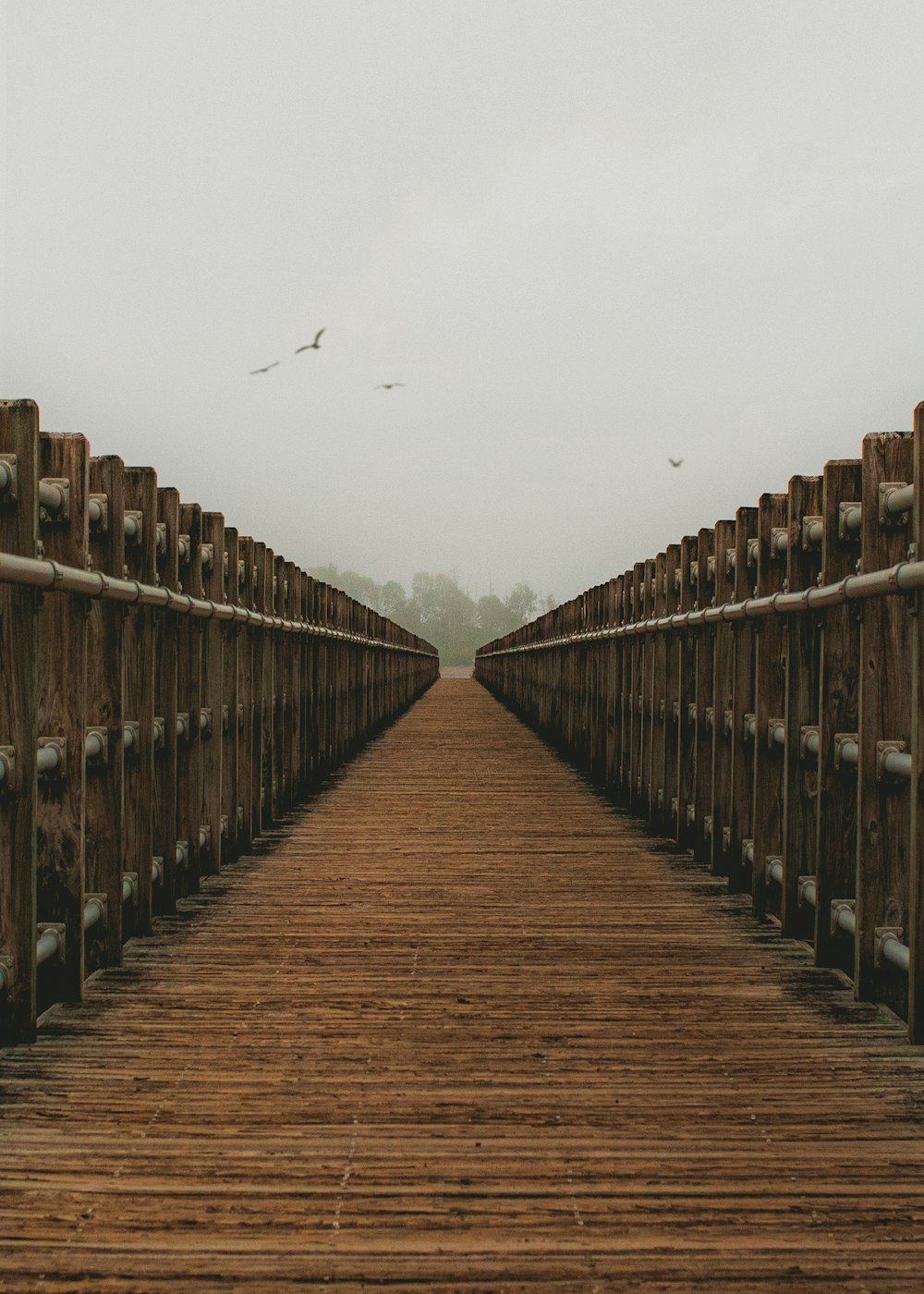 uma ponte de madeira com pássaros voando sobre ela