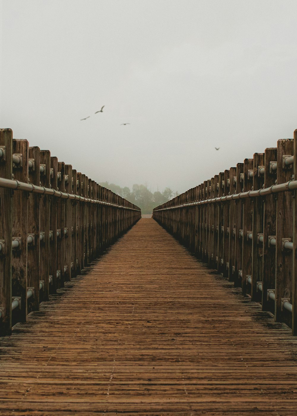 a wooden bridge with birds flying over it