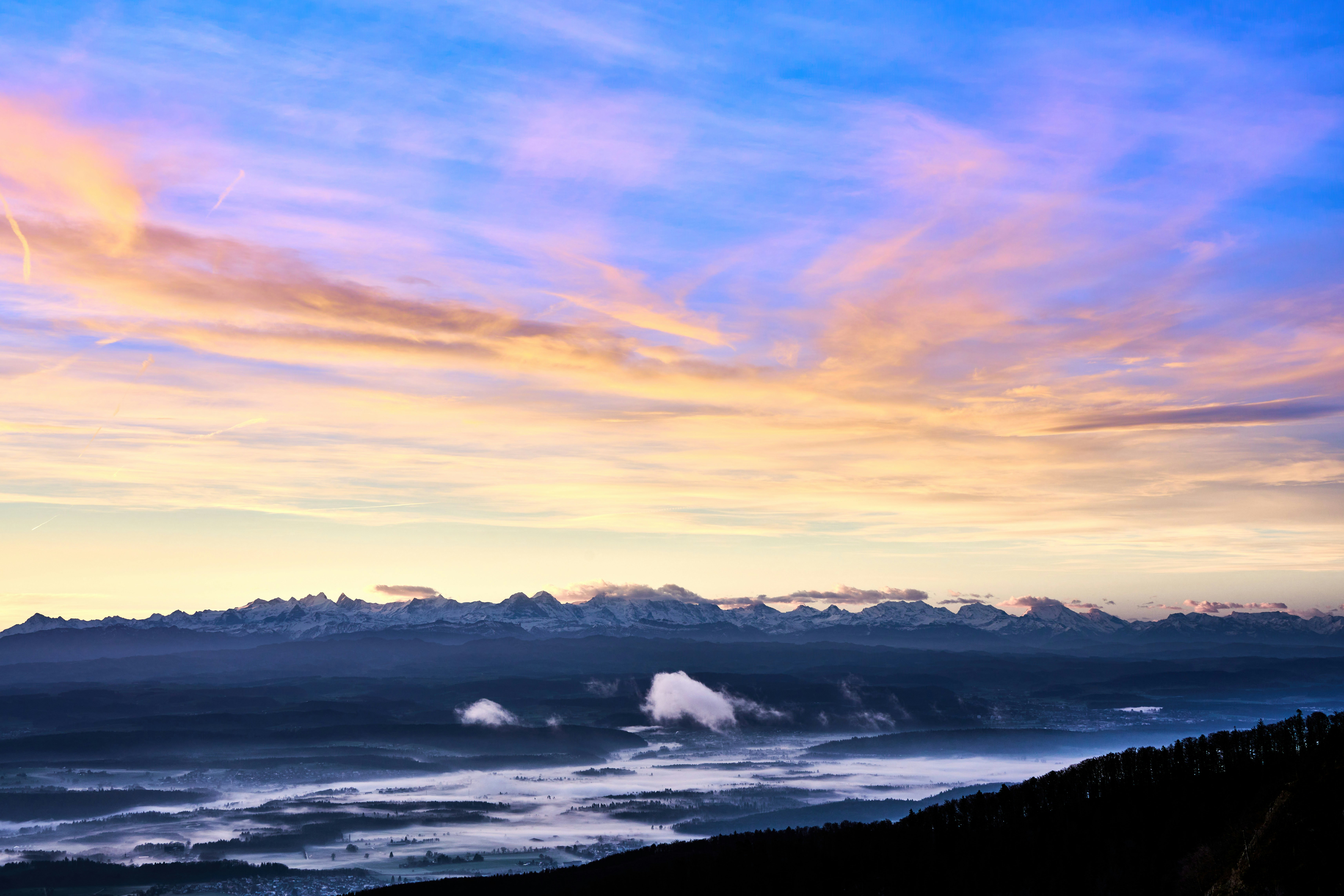 Photo by wolfgang_hasselmann