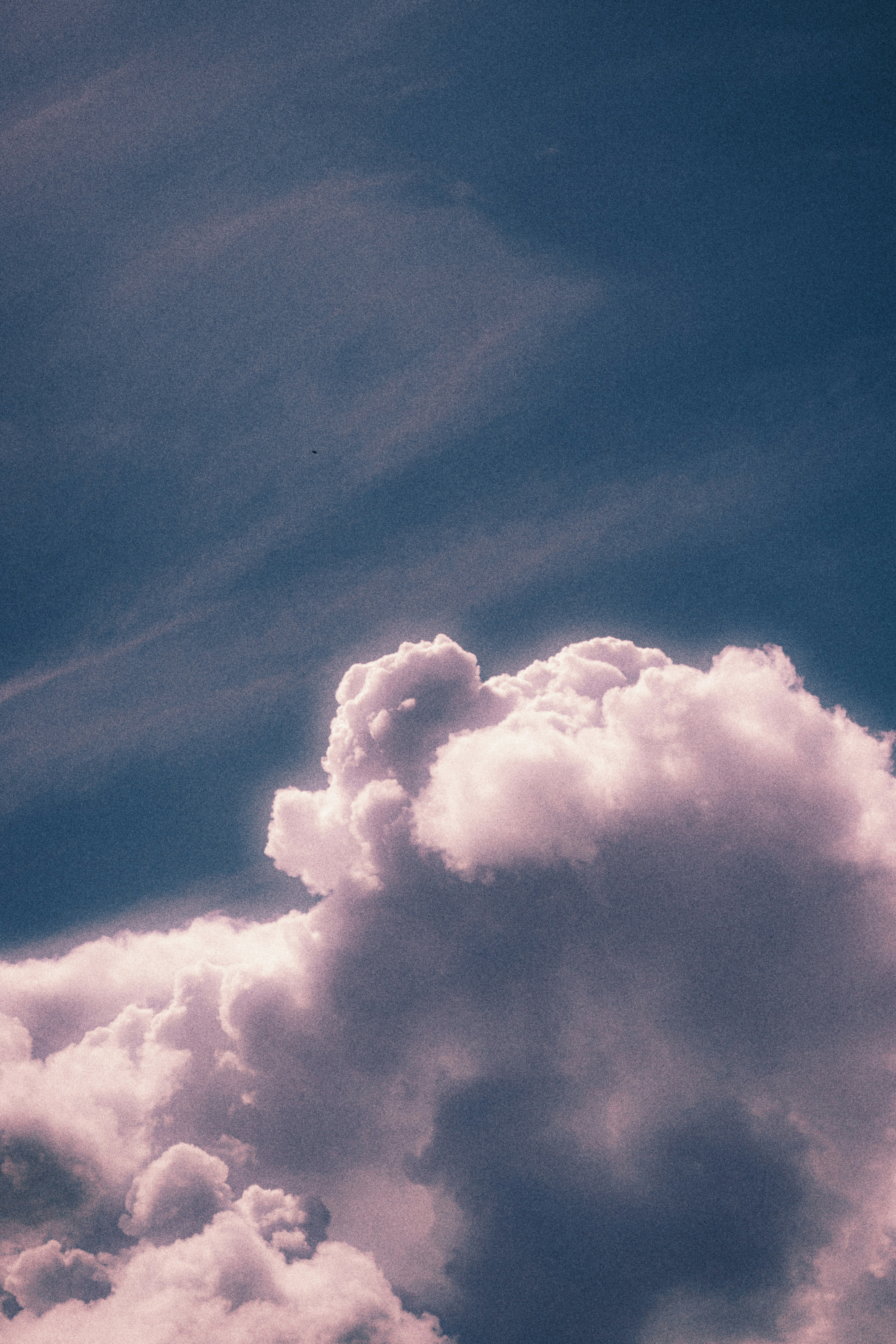 Photo by dhilipantony