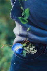 A vibrant blue flower and some small white flowers are tucked into the waistband of a pair of jeans. Green vines and leaves swirl around, creating an organic and natural feel. The fabric of the jeans and shirt appears soft, with rich texture visible in the threads.
