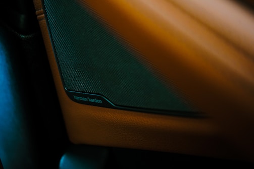 A close-up view of a speaker embedded into a car door panel. The speaker has a black mesh covering and is branded with the name 'Harman/Kardon'. Surrounding the speaker is a brown leather-like material that forms part of the car's interior design.