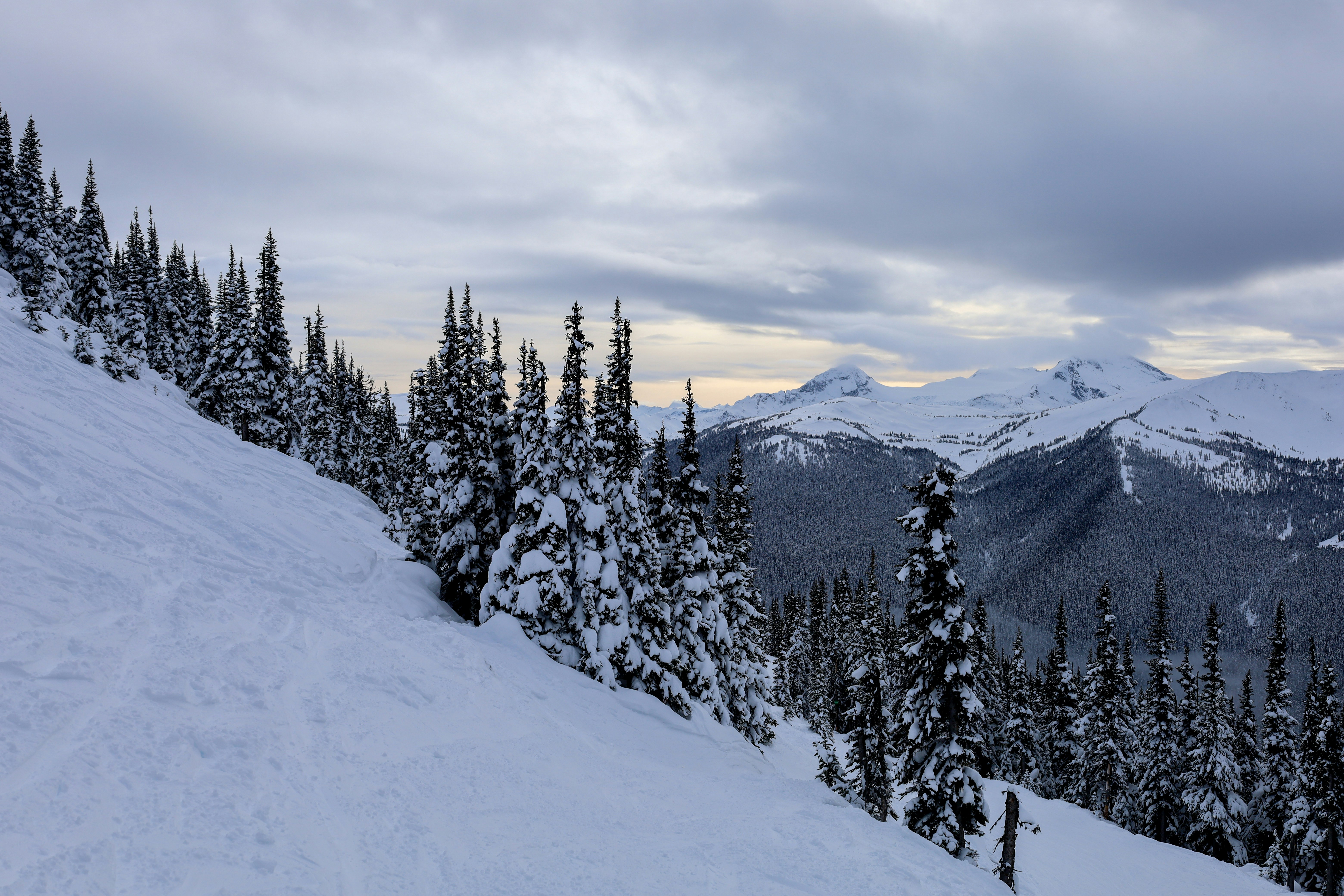 Photo by andrewdarlington