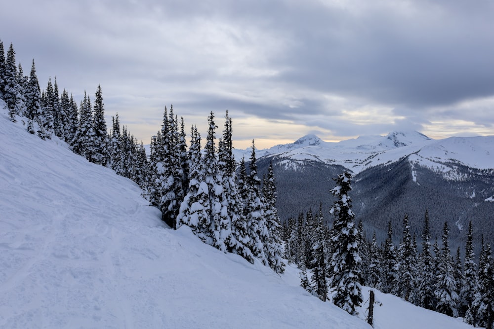 a snow covered slope with trees and mountains in the background