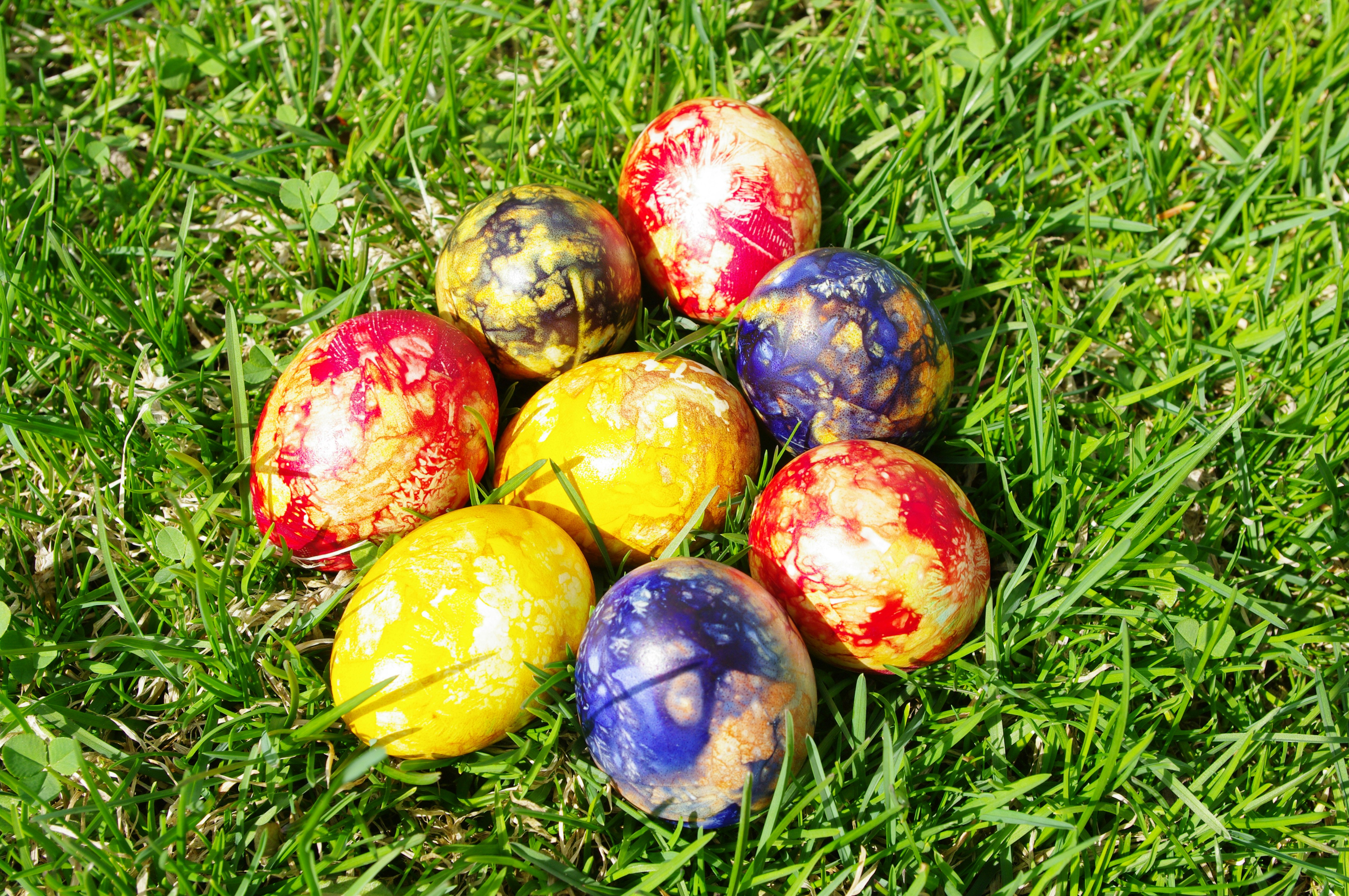 a group of painted eggs sitting on top of a lush green field