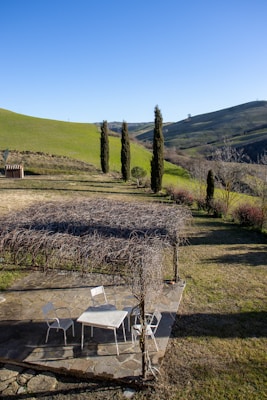 A serene landscape featuring rolling green hills under a clear blue sky. In the foreground, there is a stone patio with a pergola covered in bare, intertwining branches. Beneath the pergola, a simple white table and three chairs are arranged. Tall cypress trees are sporadically placed along the hill, enhancing the picturesque scenery.