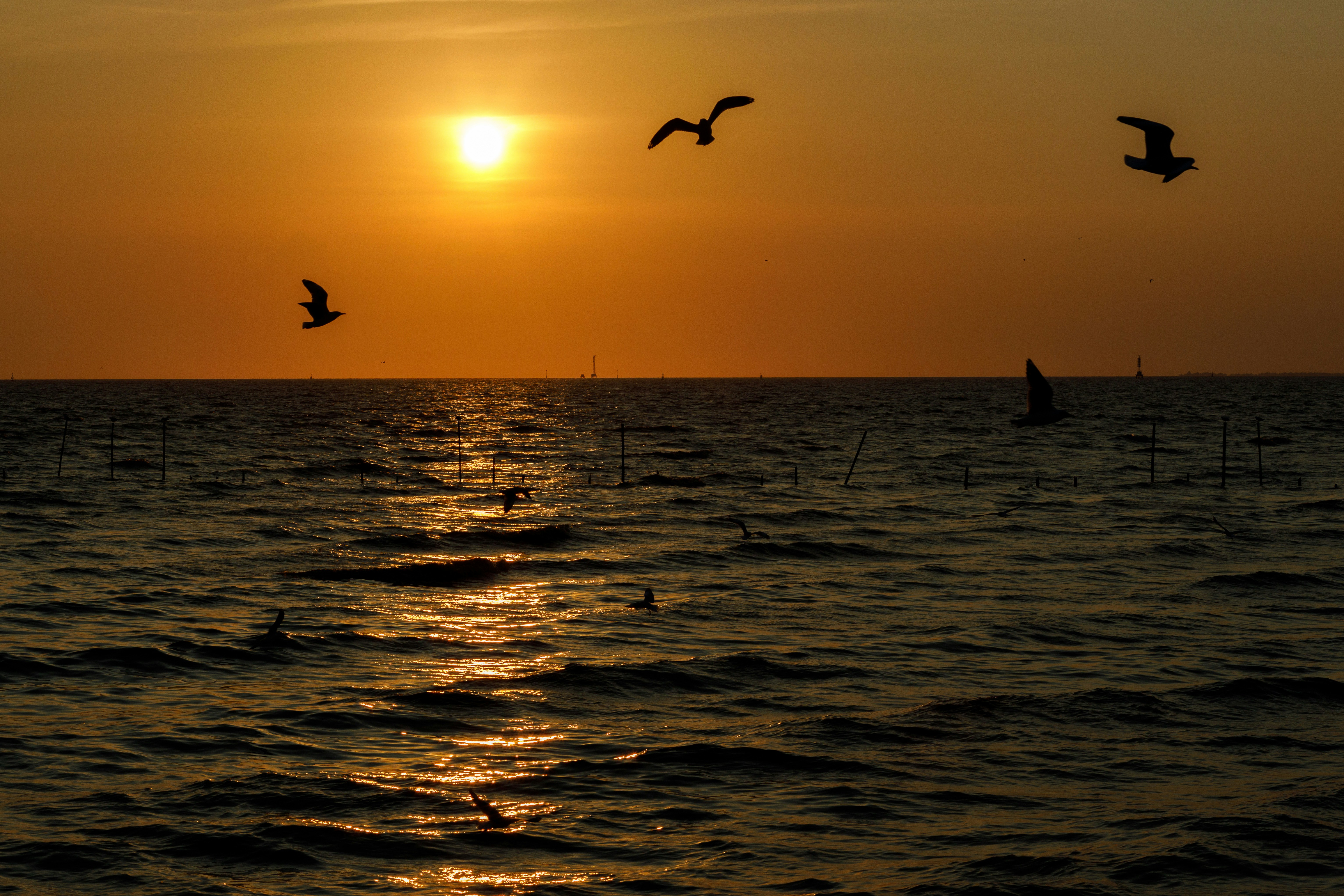 Photo by studioplayground