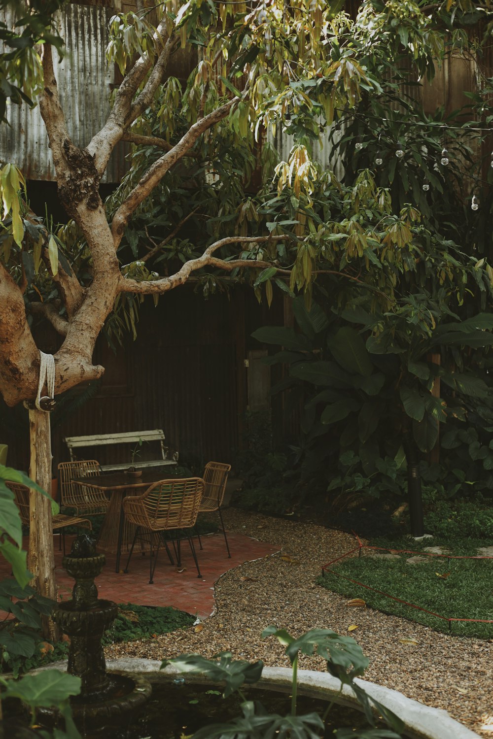 a patio with a table and chairs under a tree