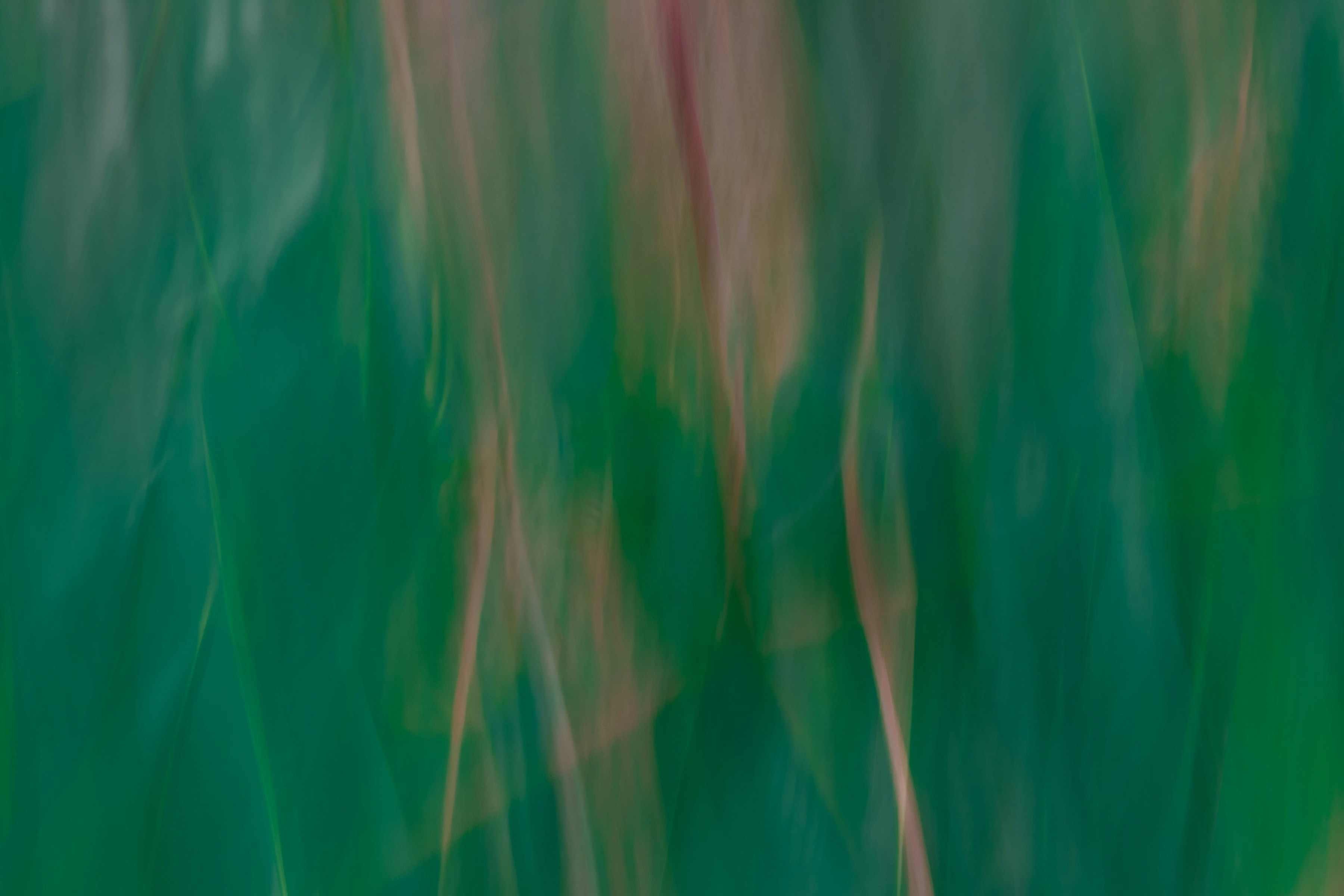 Photo by suzannemwalker