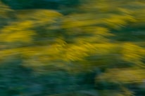 Motion blur effect with a blend of green and yellow hues, creating an abstract and dynamic pattern.