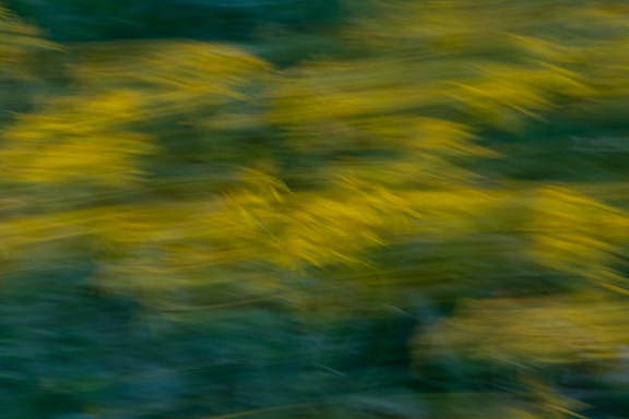 Motion blur effect with a blend of green and yellow hues, creating an abstract and dynamic pattern.