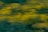 Motion blur effect with a blend of green and yellow hues, creating an abstract and dynamic pattern.