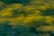 Motion blur effect with a blend of green and yellow hues, creating an abstract and dynamic pattern.