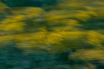 Motion blur effect with a blend of green and yellow hues, creating an abstract and dynamic pattern.