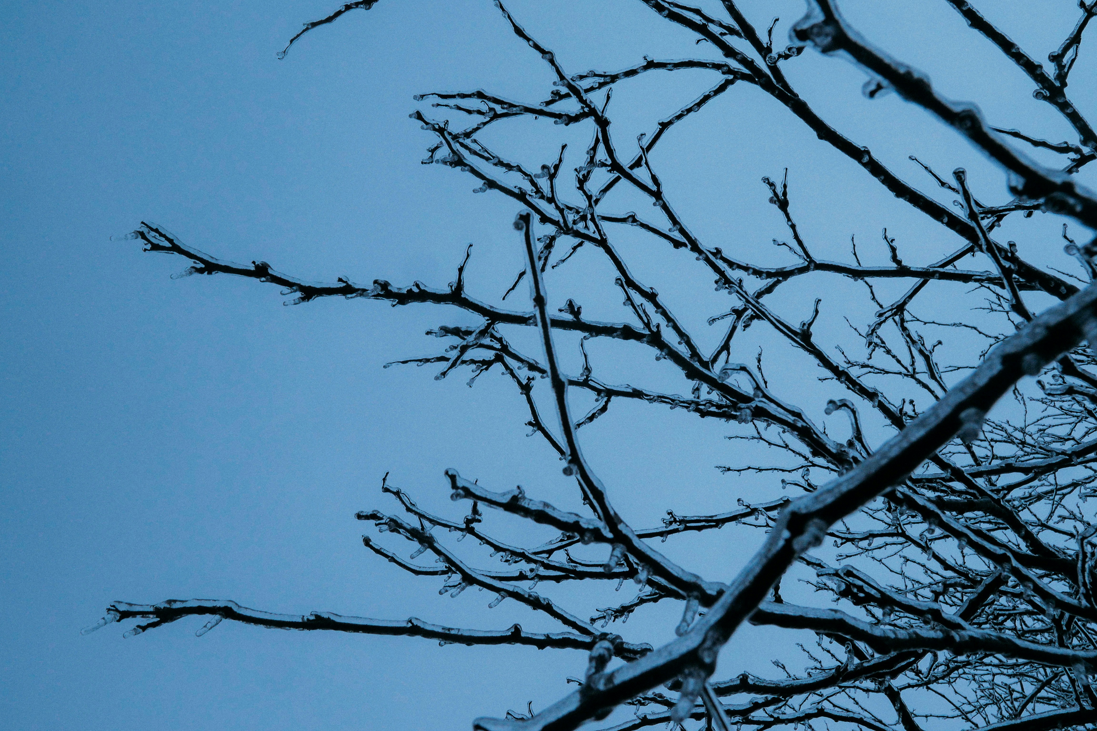 Photo by calebminear