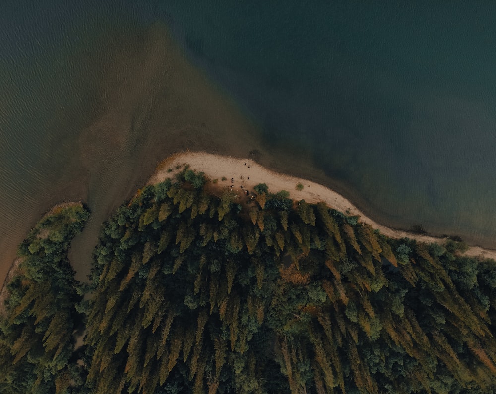 a bird's eye view of a beach and a body of water