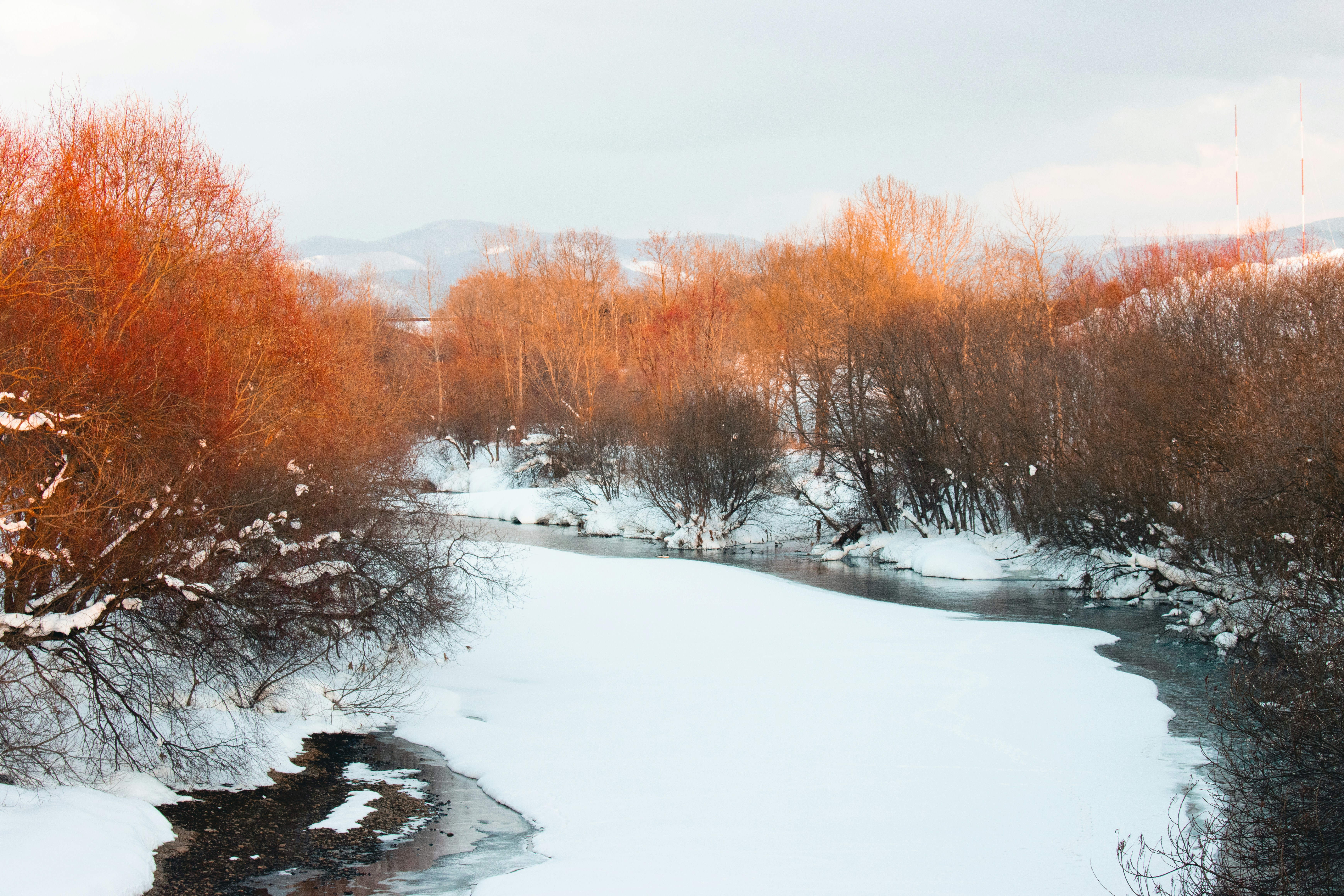 Photo by roberthsu1054