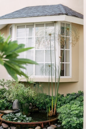 A lush garden scene features a small pond surrounded by vibrant green foliage and tall papyrus plants. The pond is bordered by stones, and the rich greenery creates a peaceful and natural atmosphere. In the background, a house window with white frames and a gray shingled roof adds a structured element to the scene.