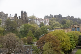 A scenic view of Odense with historic architecture and green parks.
