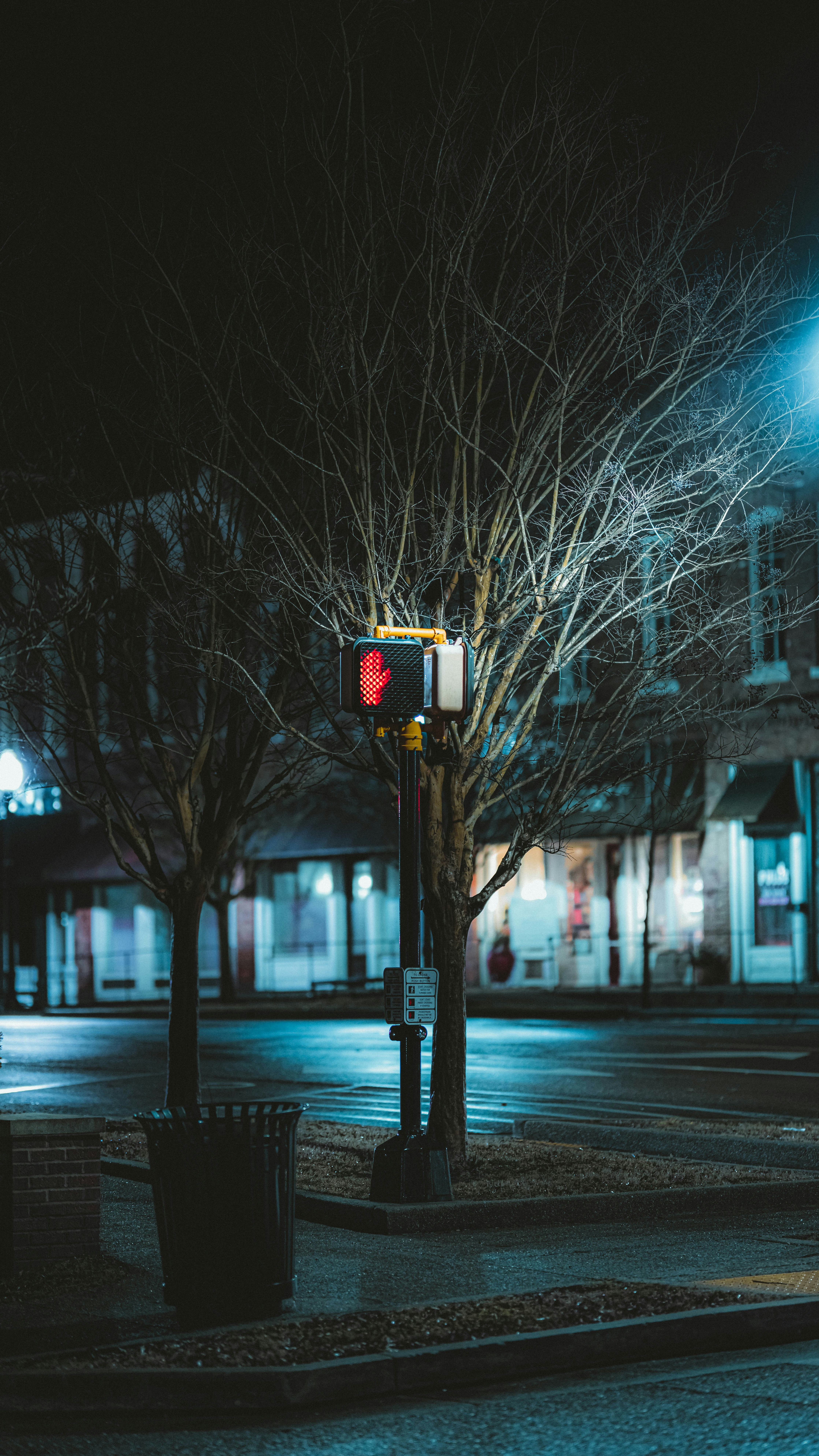 Photo by colemangloverphotography