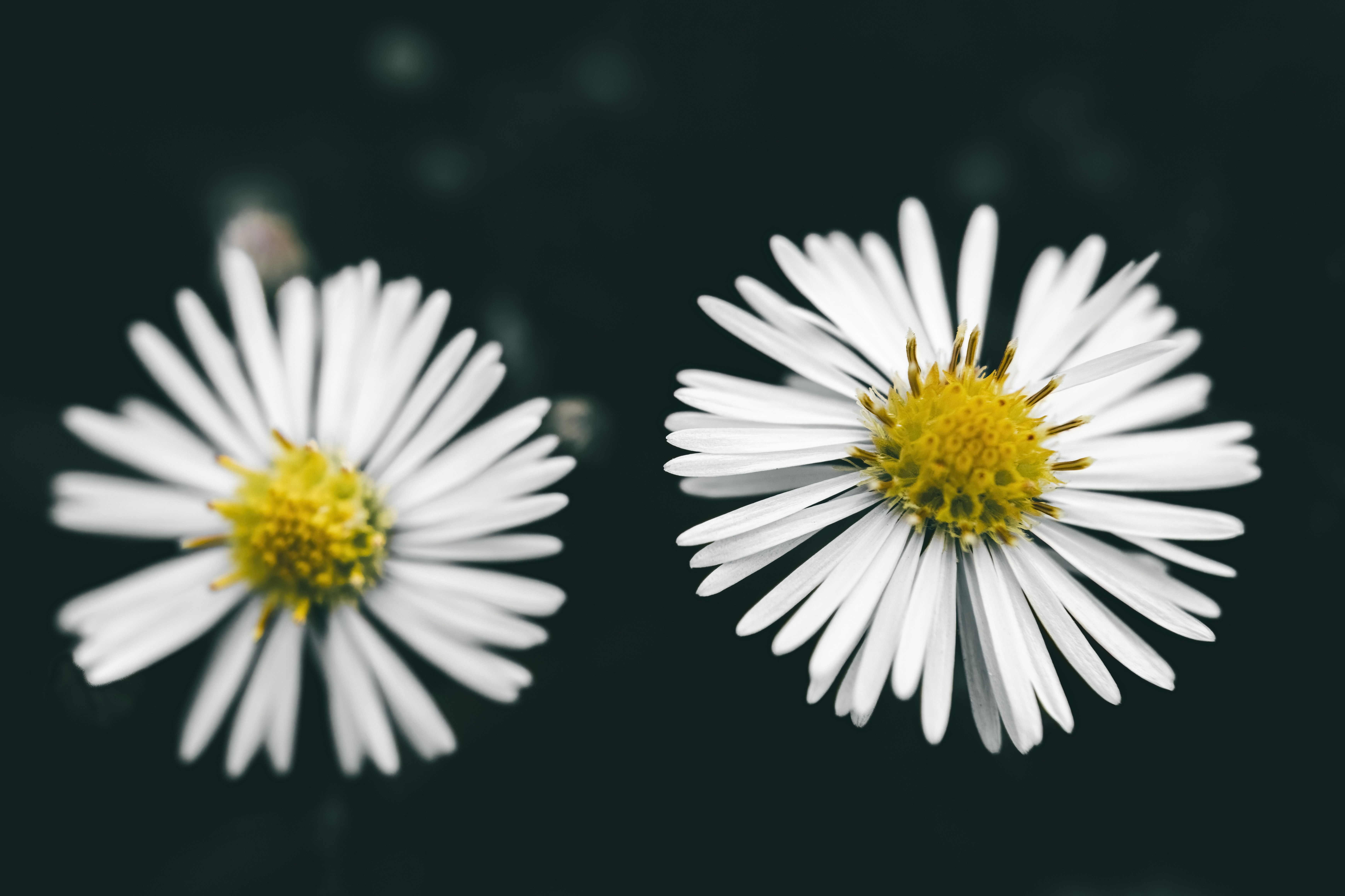 Comment surmonter les effets