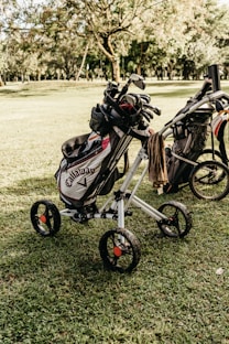 SAAG image of a golf cart with a golf bag on the back of it