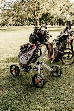 SAAG image of a golf cart with a golf bag on the back of it