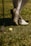 A person wearing white golf shoes and knee-high socks stands on grass. A yellow golf ball lies on the ground near a golf club with a metallic head.