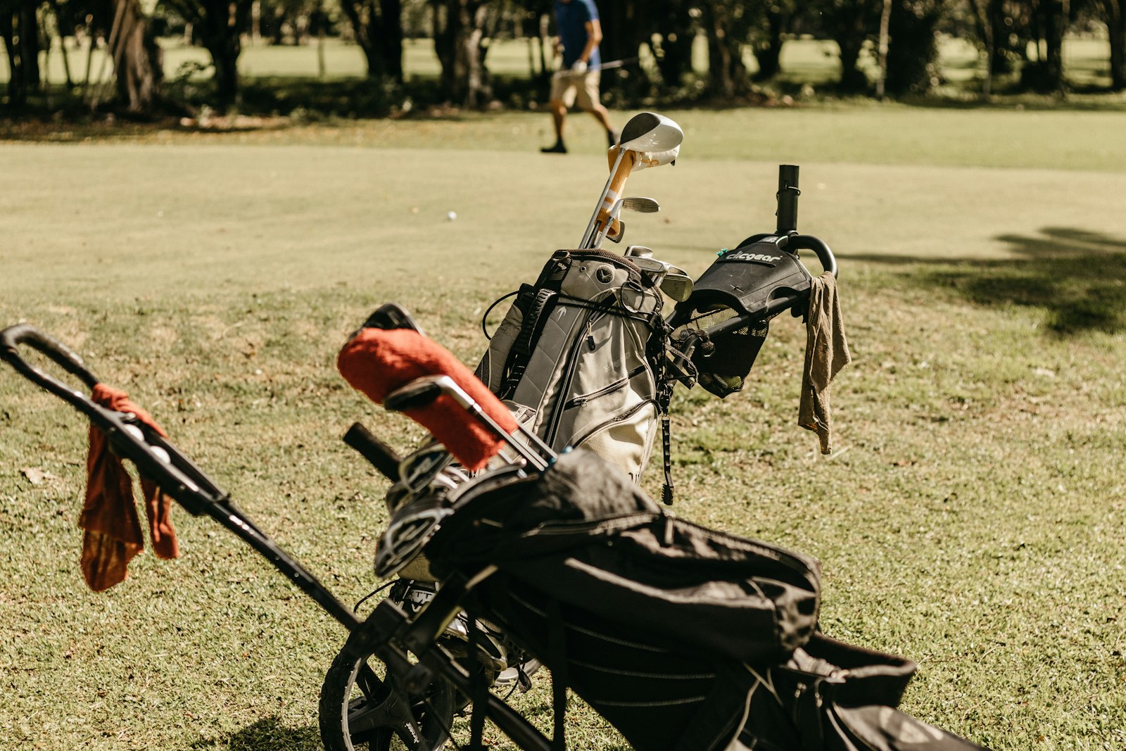A golf bag sitting on top of a green field