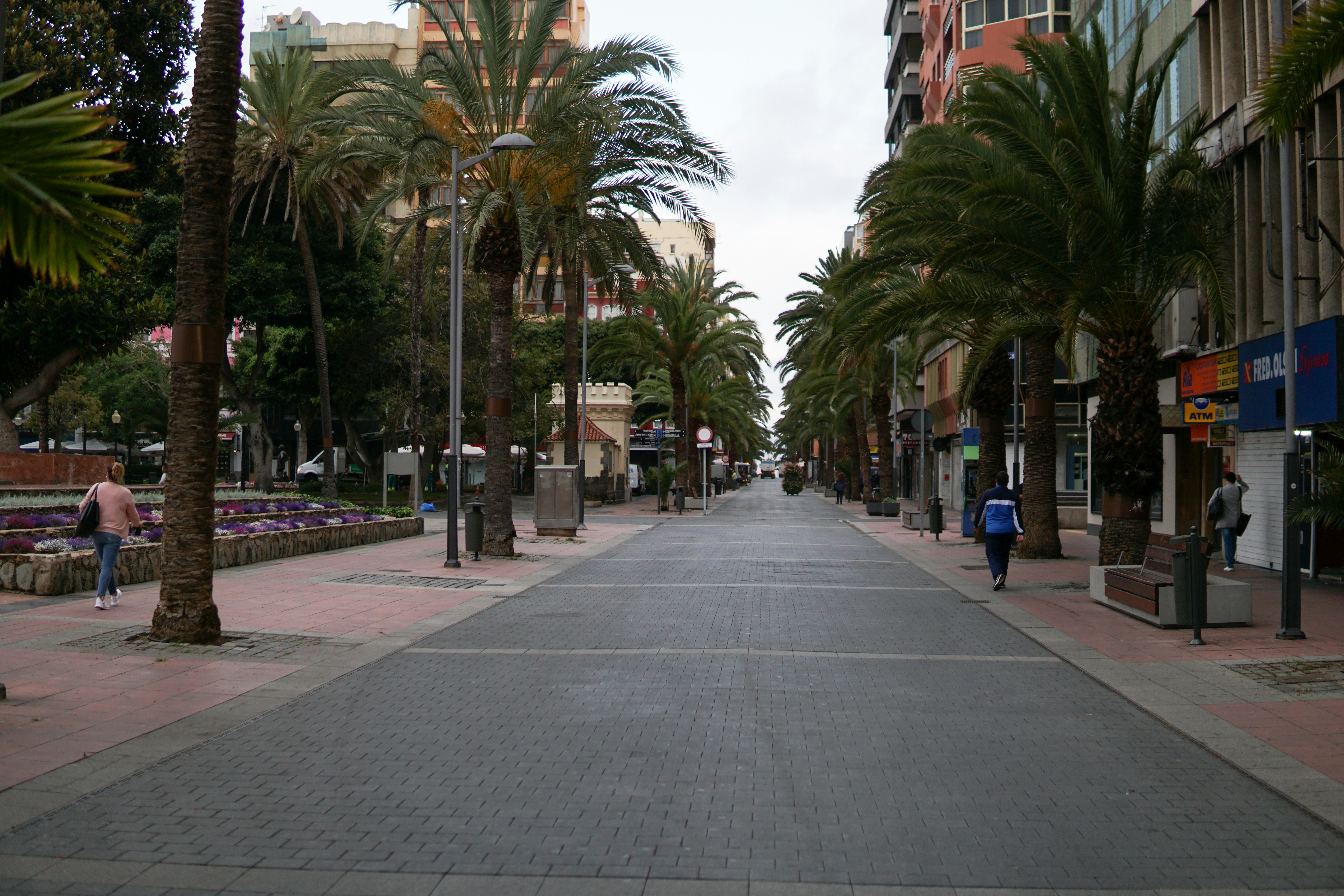 a city street lined with palm trees and buildings