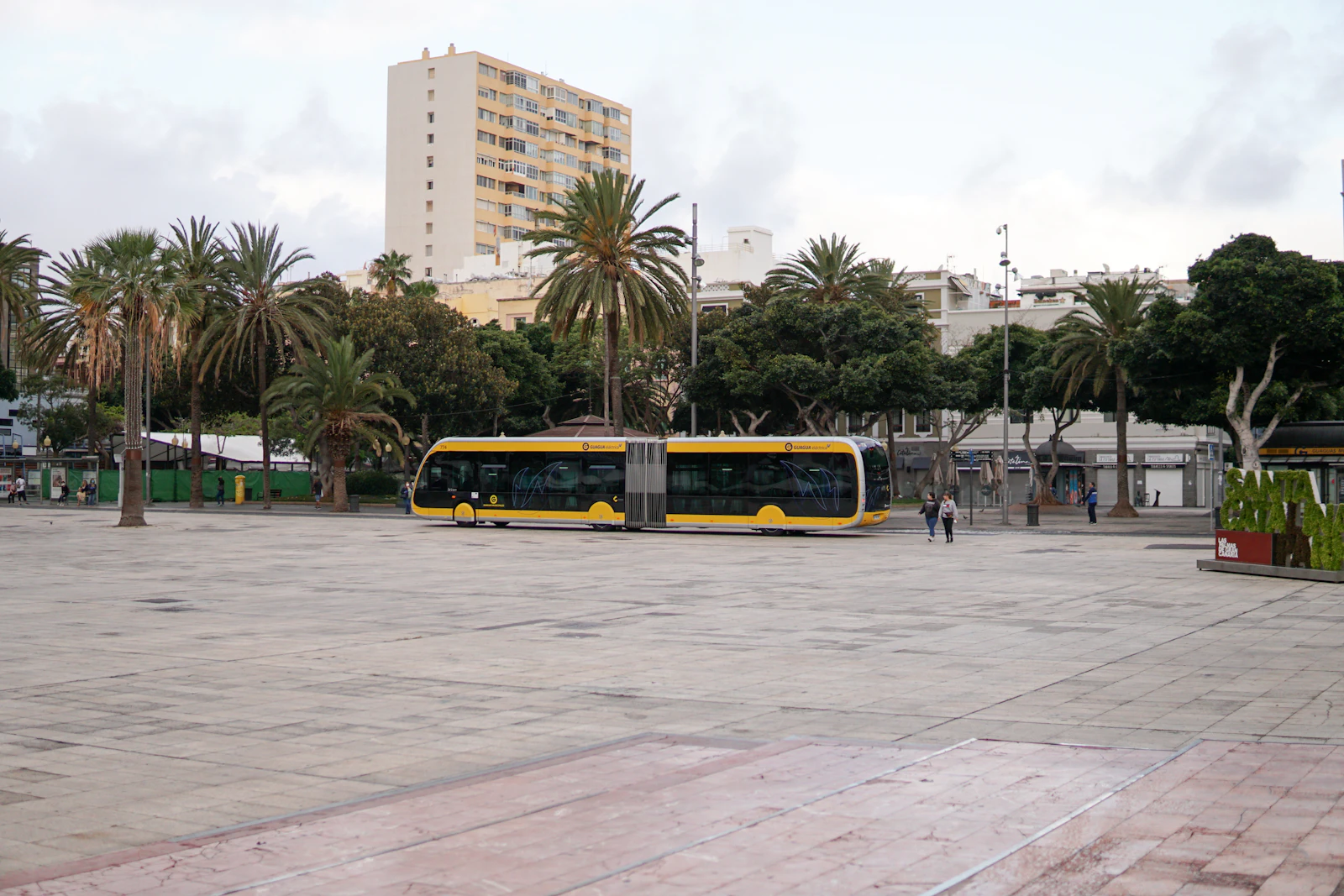 Una guagua cruza una plaza con palmeras en Las Palmas de Gran Canaria