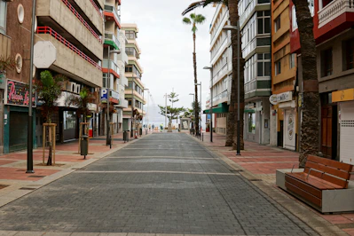 a city street lined with palm trees and shops
