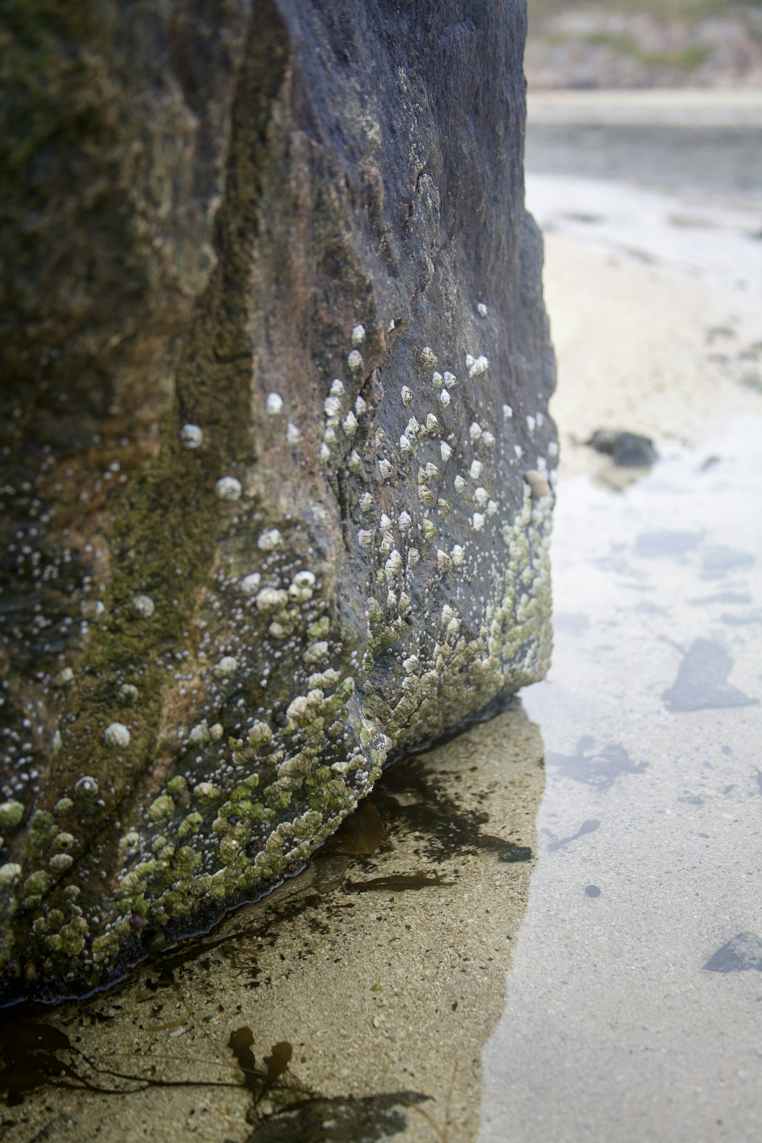 Photo by kristinokarlsen