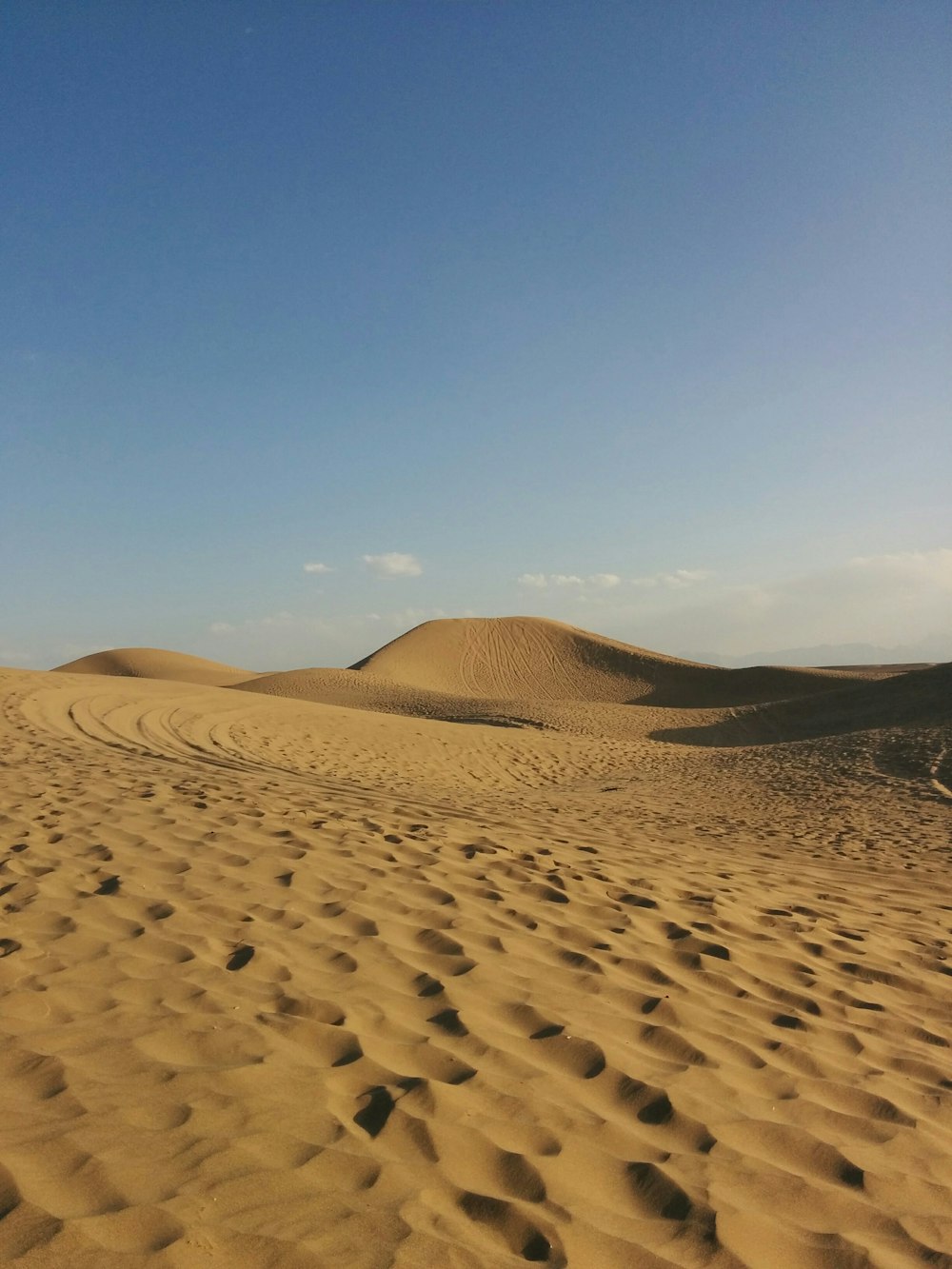 a person riding a horse through the desert