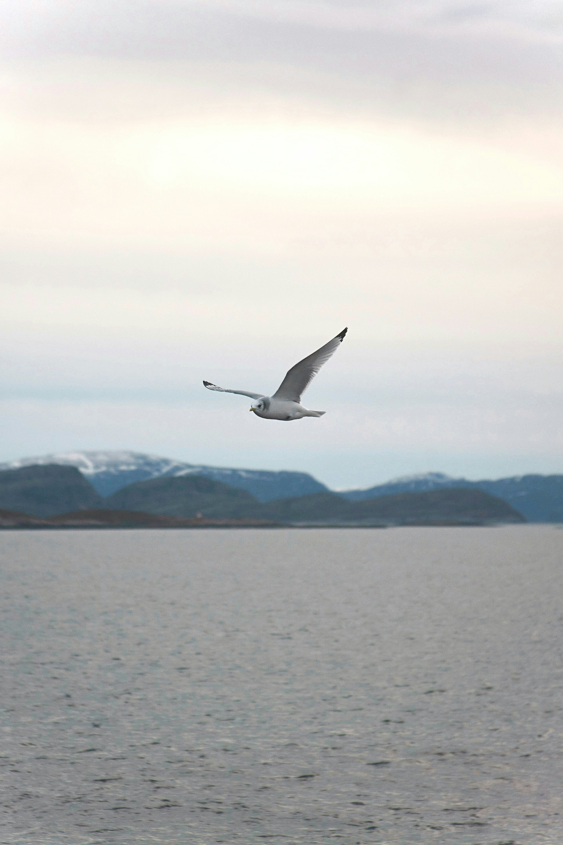 Photo by kristinokarlsen