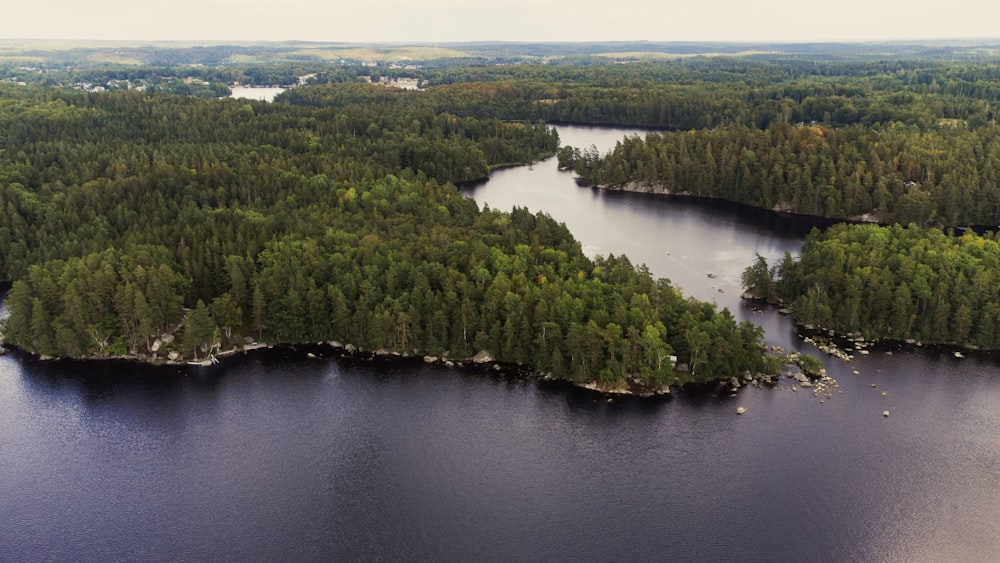 a large body of water surrounded by trees