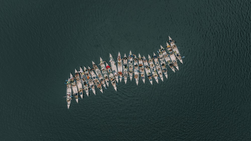 a large group of boats floating on top of a body of water