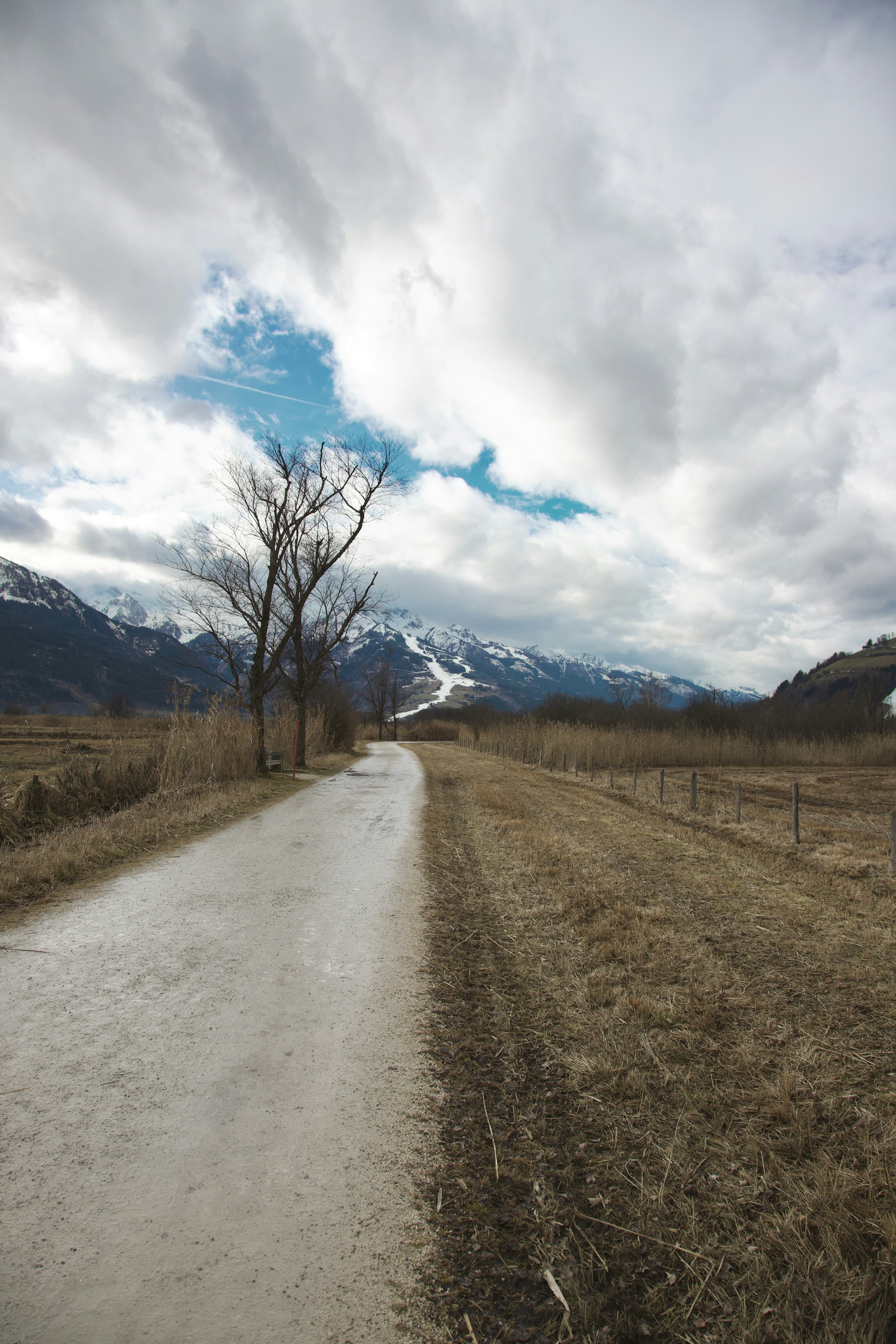 a dirt road in the middle of a field