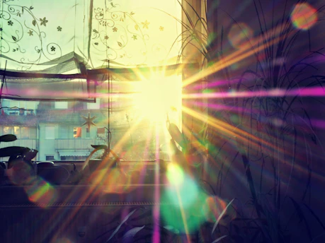 Sunlight shining through perfectly cleaned house windows reflecting a warm maroon curtain.