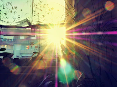 Wide shot of a house showcasing multiple sliding windows with sunlight streaming through.