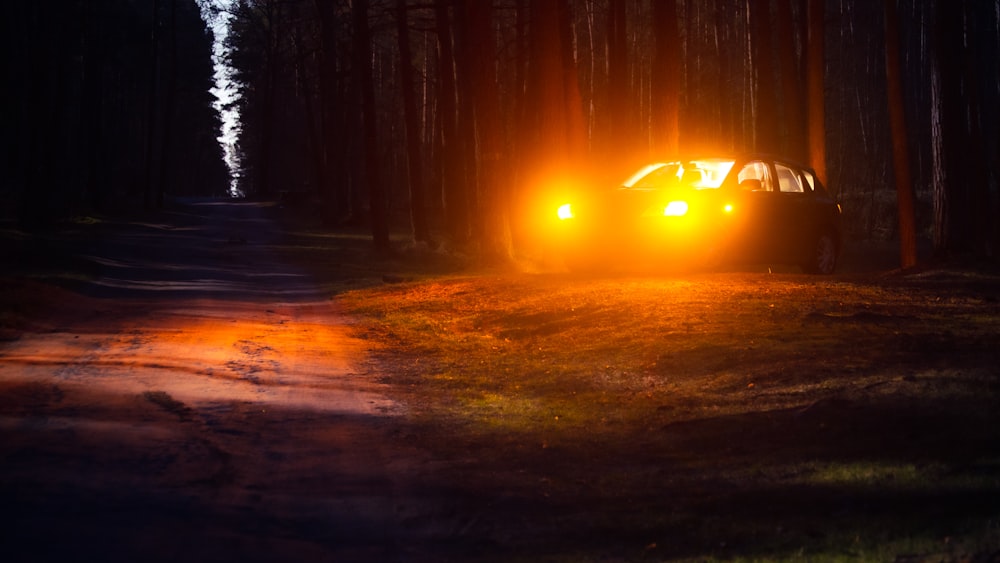 a car driving through a forest at night