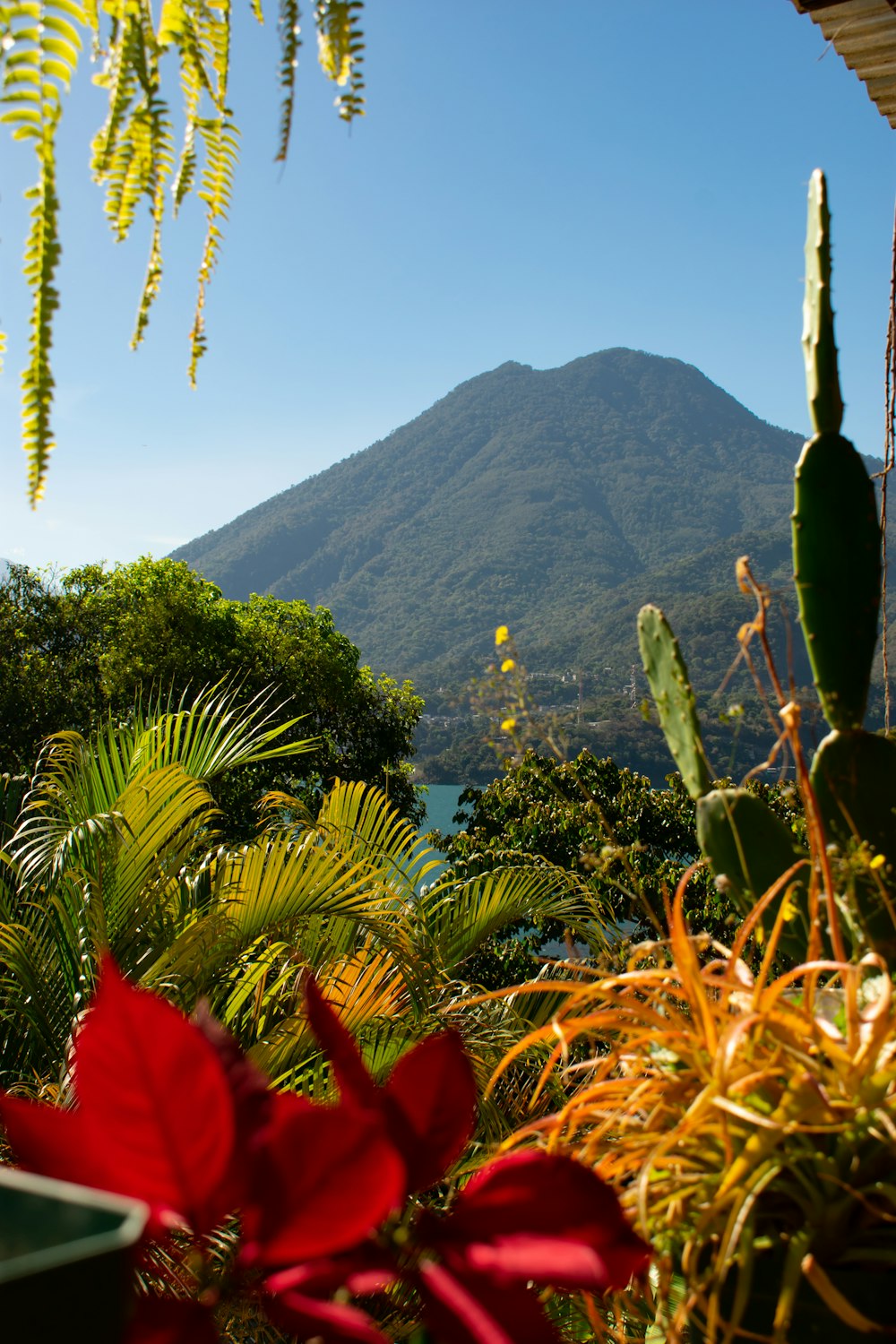 a view of a mountain from a house