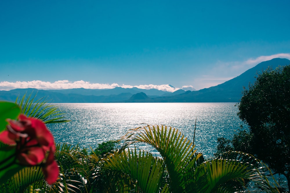 a view of a body of water with mountains in the background