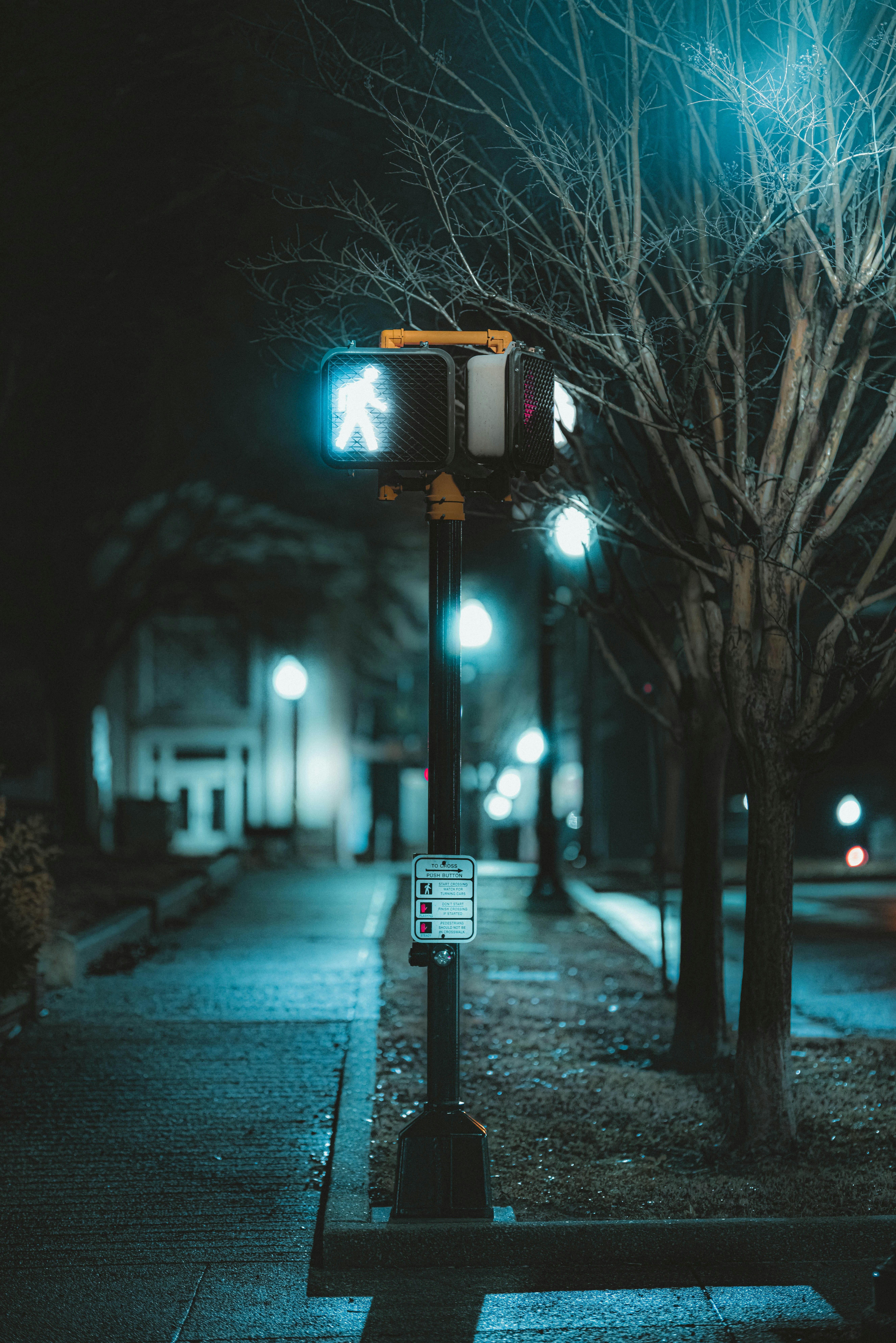 Photo by colemangloverphotography