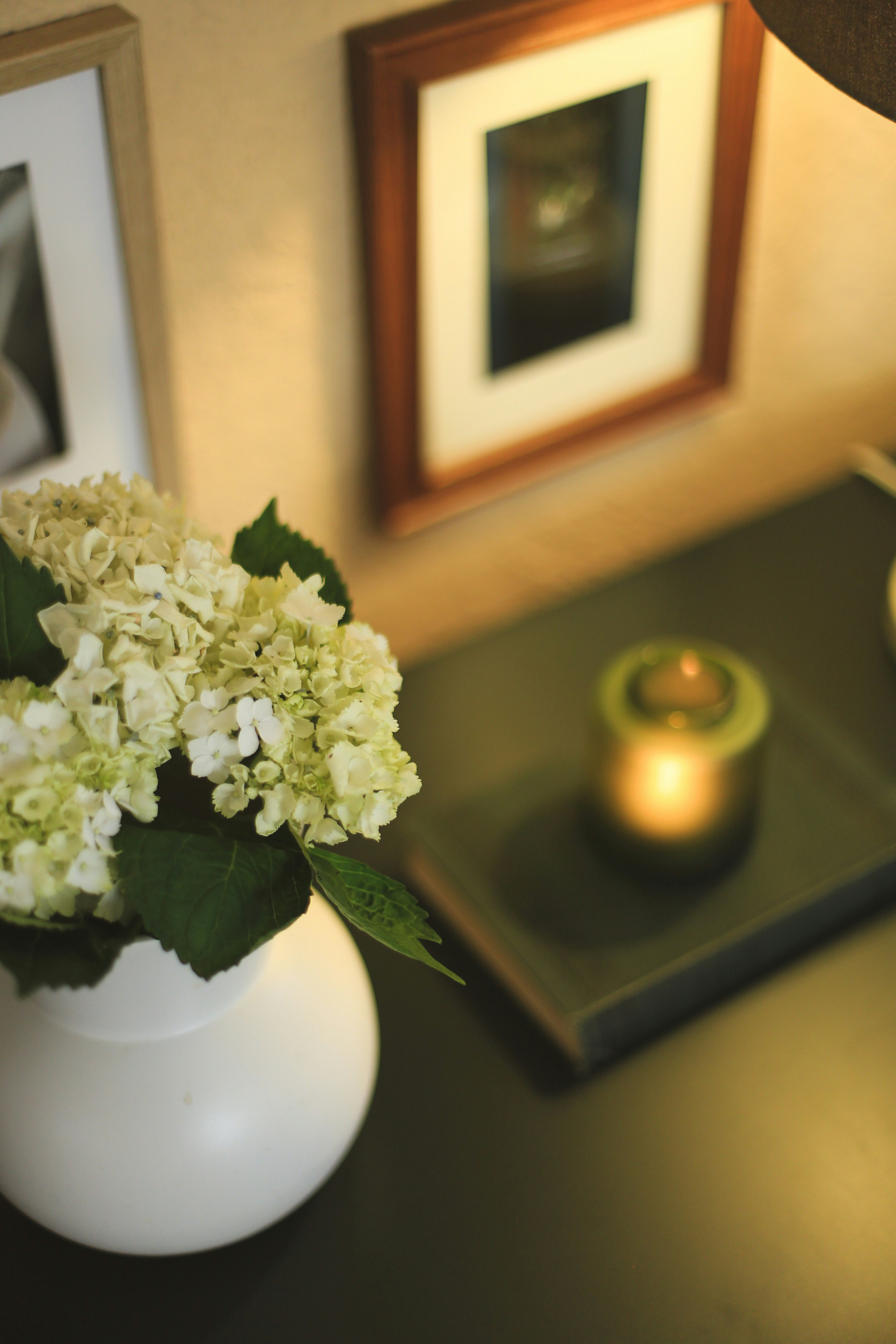 Photo by jessicalfadel