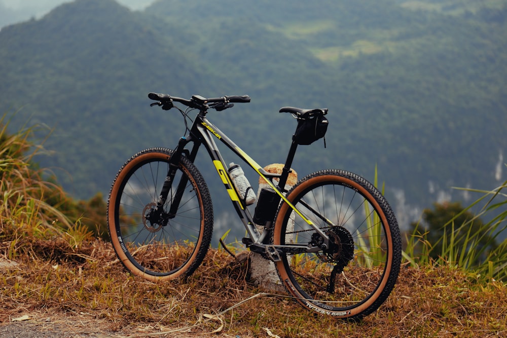 una bicicletta parcheggiata in cima a una collina coperta di erba