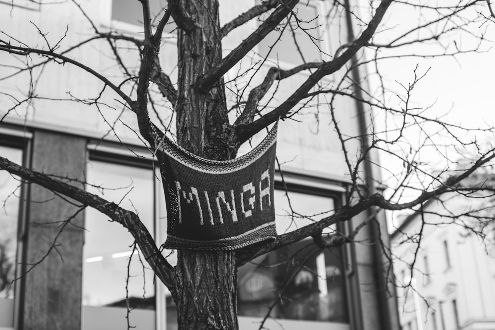 a street sign hanging from a tree in front of a building