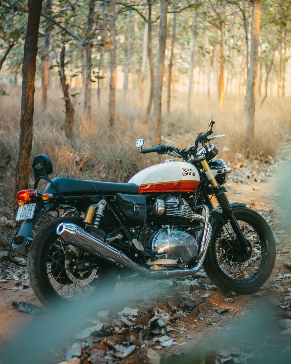 a motorcycle parked on a dirt road in the woods