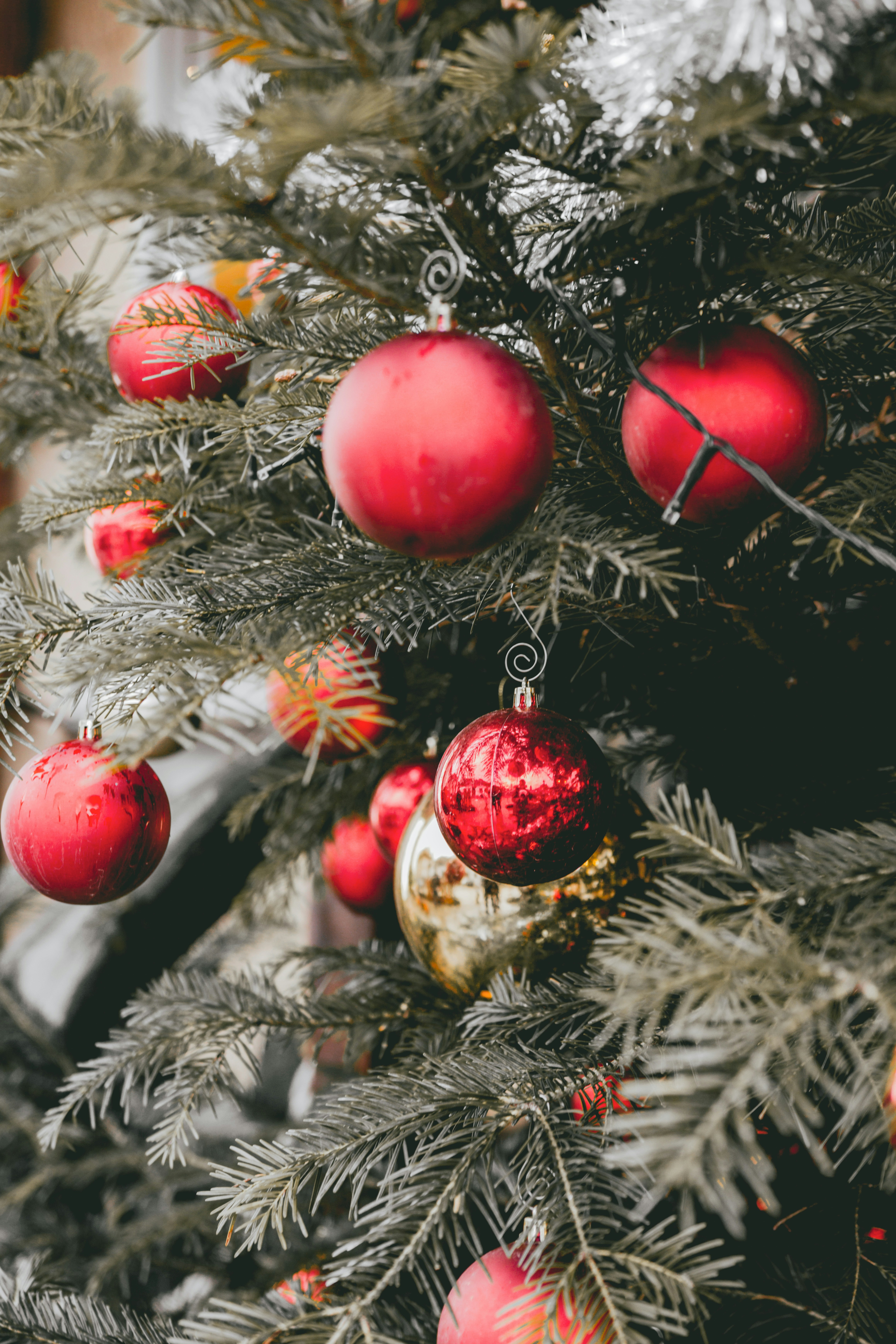 Photo by shoham_avisrur